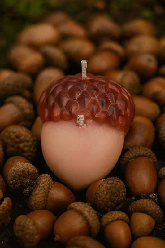 Bougie " Repas des écureuils"