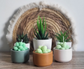 Bougie petit cactus