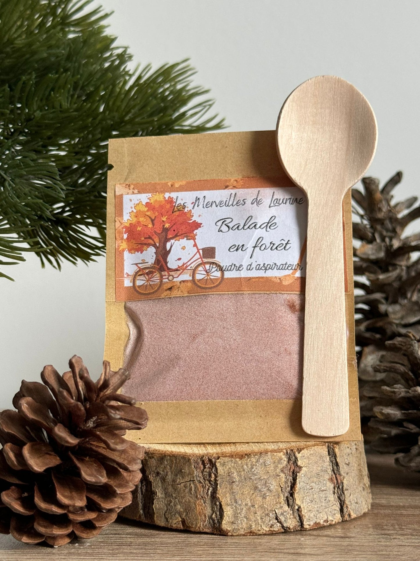 Poudre d'aspirateur d'automne