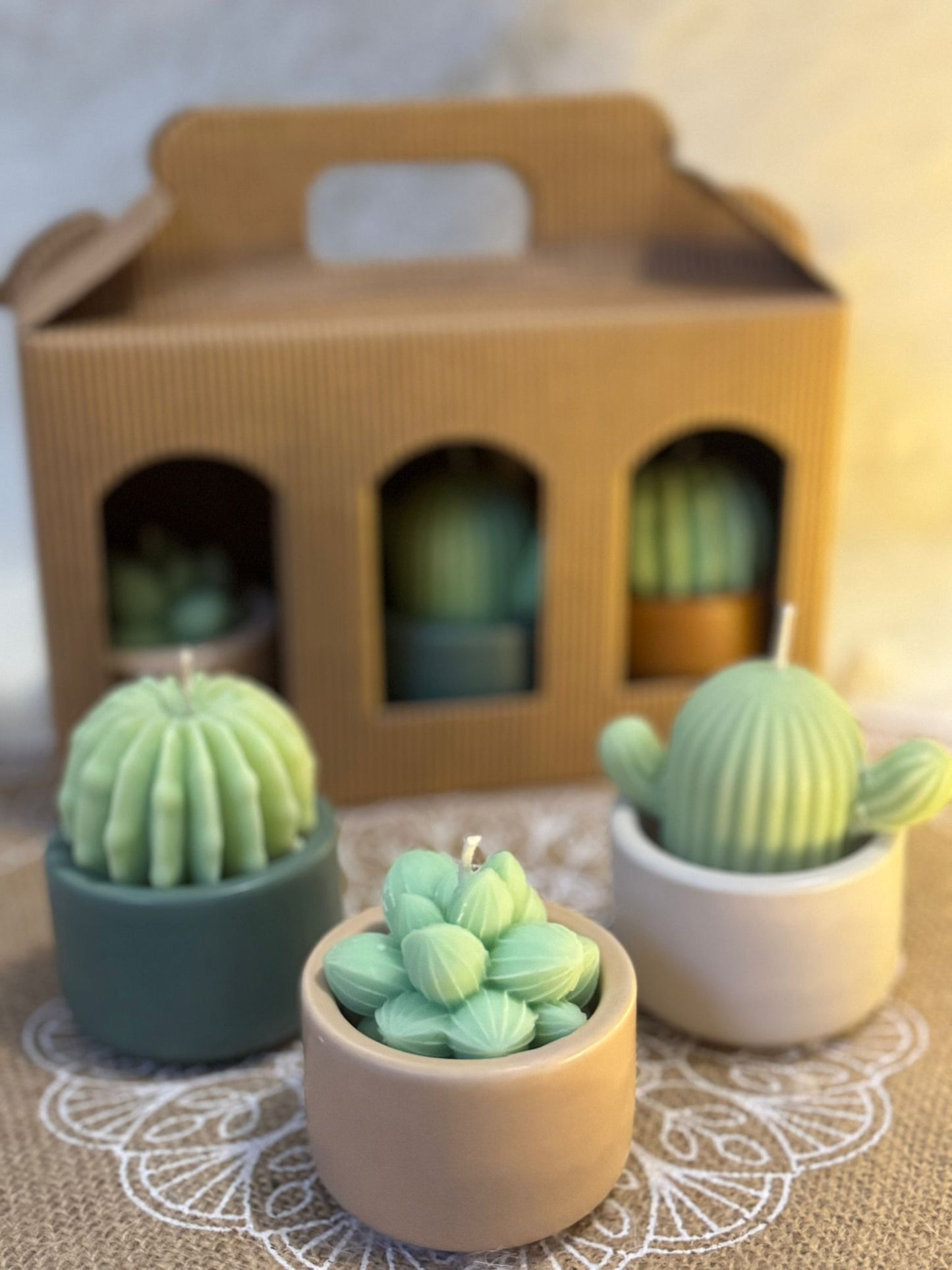 Coffret de 3 bougies "Cactus"