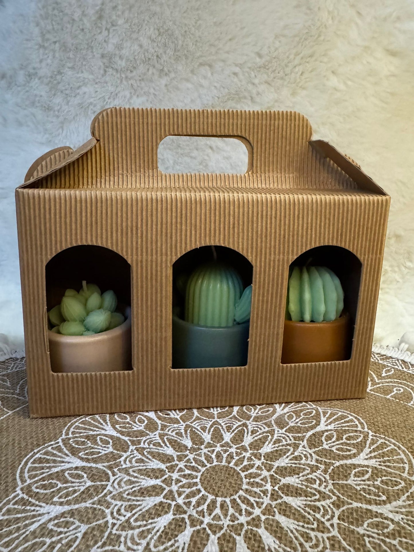 Coffret de 3 bougies "Cactus"