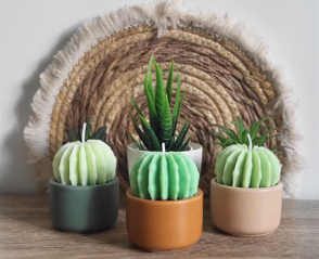 Bougie grand cactus