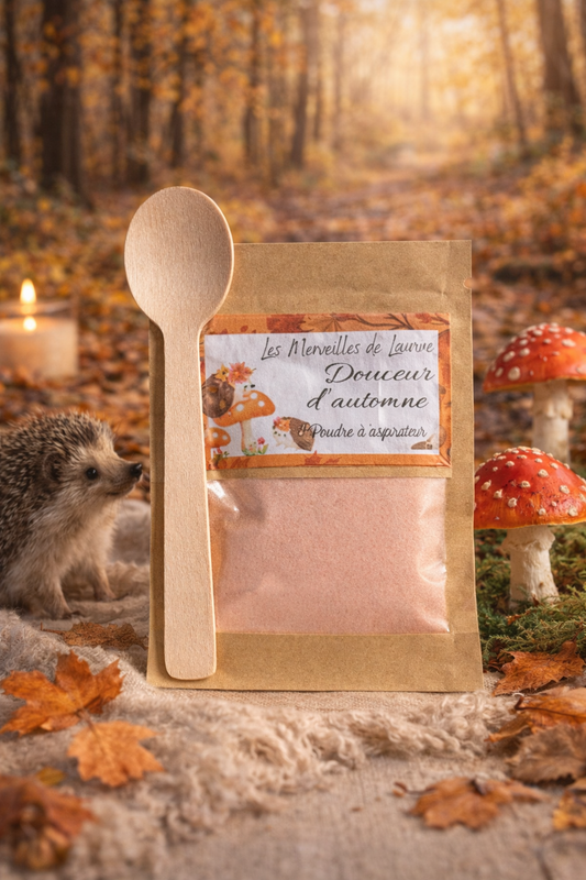 Poudre d'aspirateur " Douceur d'automne "