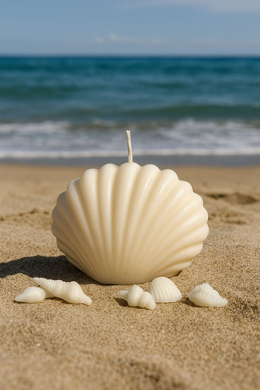 Bougie " Coquillage "